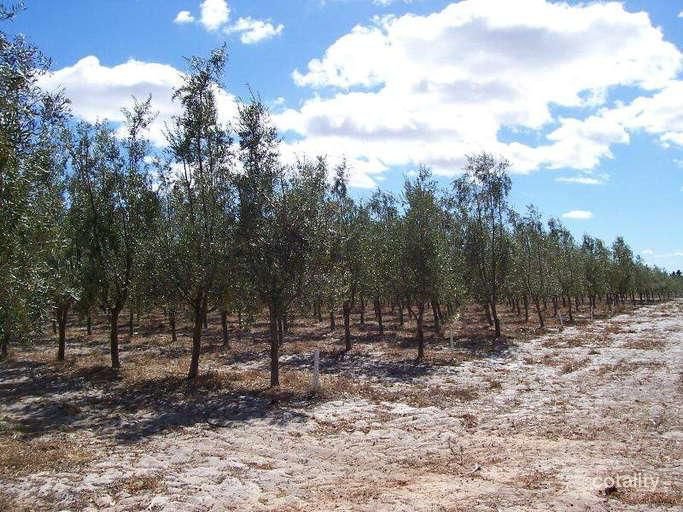 Photo - 454 Tangletoe Road, Muckenburra WA 6503 - Image 10