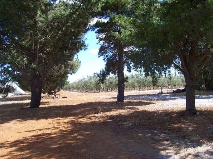 Photo - 454 Tangletoe Road, Muckenburra WA 6503 - Image 11