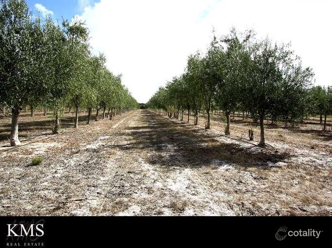 Photo - 454 Tangletoe Road, Muckenburra WA 6503 - Image 12