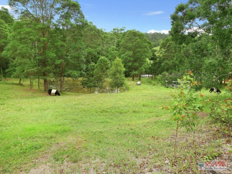 Photo - 456 Bli Bli Rd , Bli Bli QLD 4560 - Image 3