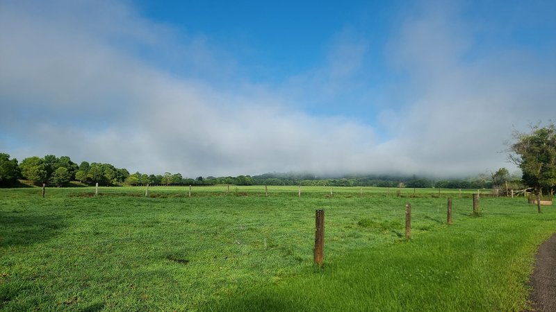 Photo - 456 Eltham Road, Eltham NSW 2480 - Image 32