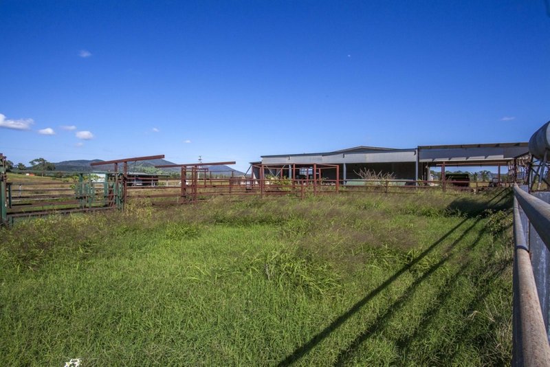 Photo - 456 Jensen Road, Lower Wonga QLD 4570 - Image 17