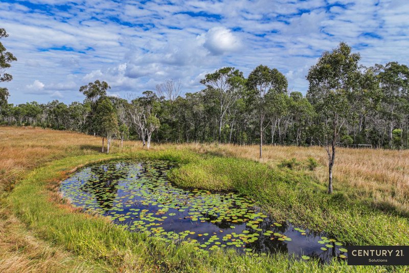 Photo - 457 Limestone Creek Road, Adelaide Park QLD 4703 - Image 20