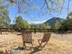 Photo - 457 Moonbi Gap Road, Moore Creek NSW 2340 - Image 3