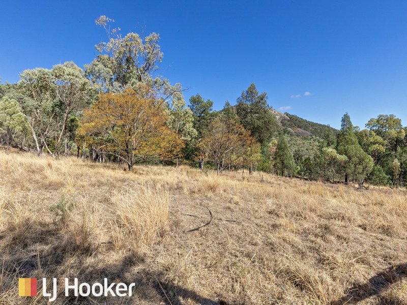 Photo - 457 Moonbi Gap Road, Moore Creek NSW 2340 - Image 18