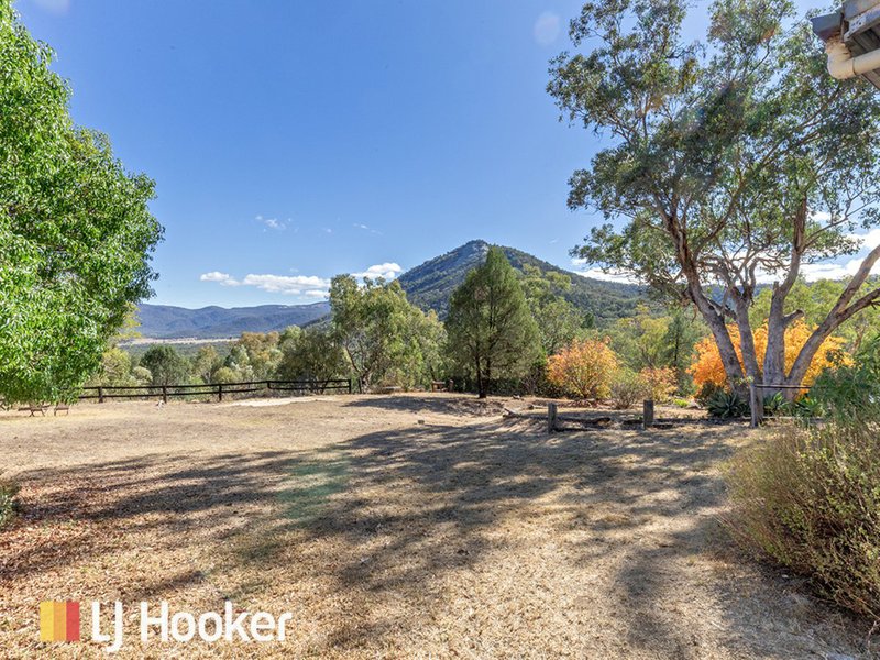 Photo - 457 Moonbi Gap Road, Moore Creek NSW 2340 - Image 19