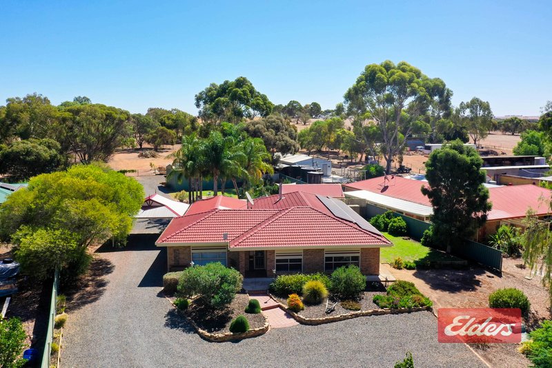 Photo - 457 Rosedale Road, Rosedale SA 5350 - Image 2