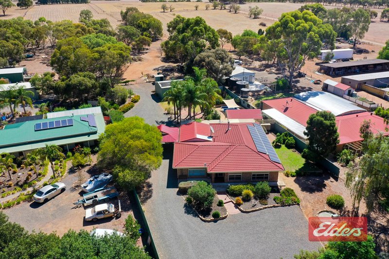 Photo - 457 Rosedale Road, Rosedale SA 5350 - Image 34