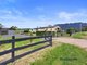 Photo - 459 Claude Road, Sheffield TAS 7306 - Image 2