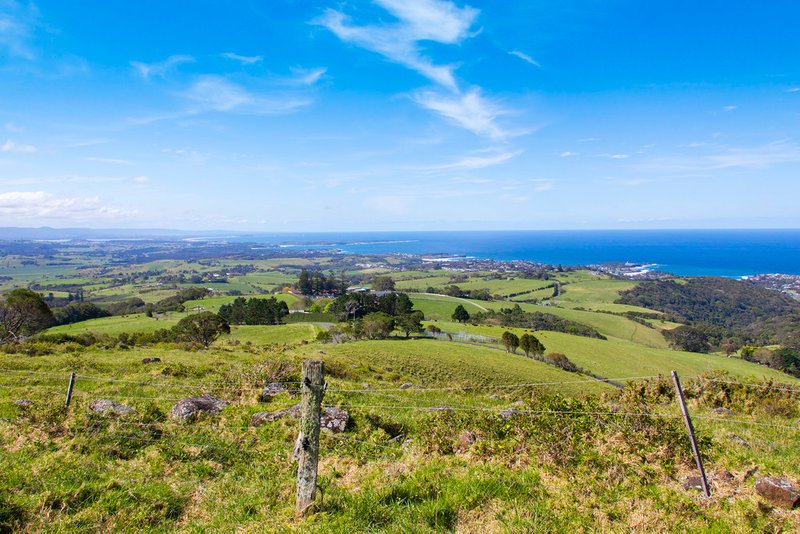 Photo - 459 Saddleback Mountain Road, Kiama NSW 2533 - Image 4