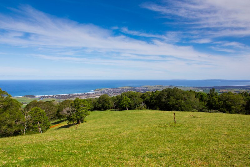 Photo - 459 Saddleback Mountain Road, Kiama NSW 2533 - Image 5