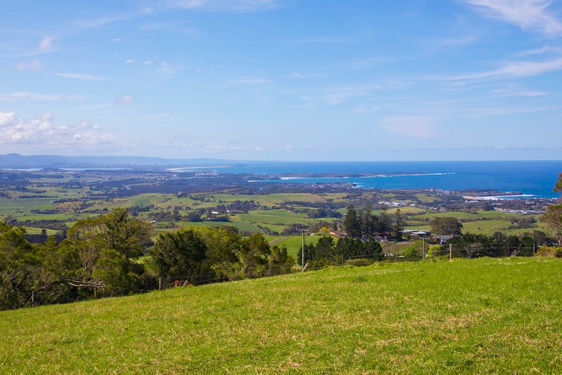 Photo - 459 Saddleback Mountain Road, Kiama NSW 2533 - Image 6