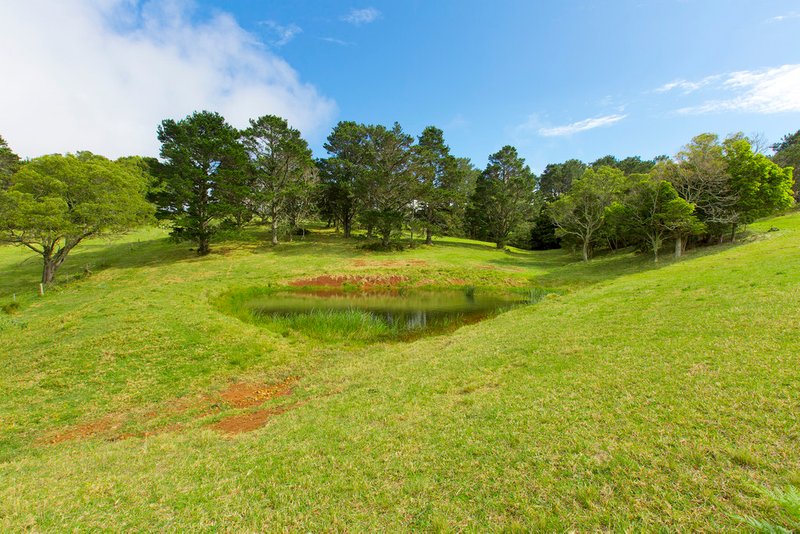 Photo - 459 Saddleback Mountain Road, Kiama NSW 2533 - Image 7