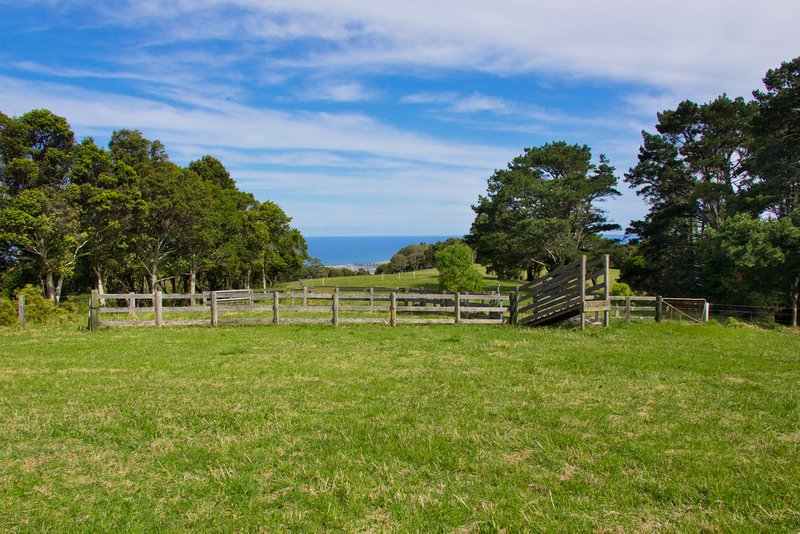 Photo - 459 Saddleback Mountain Road, Kiama NSW 2533 - Image 11