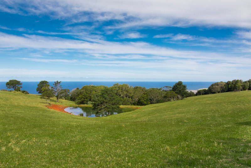 Photo - 459 Saddleback Mountain Road, Kiama NSW 2533 - Image 12