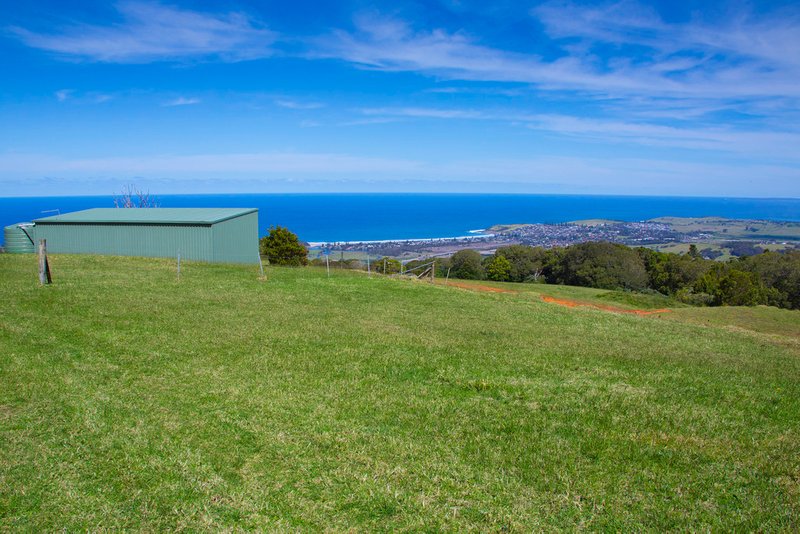 Photo - 459 Saddleback Mountain Road, Kiama NSW 2533 - Image 14