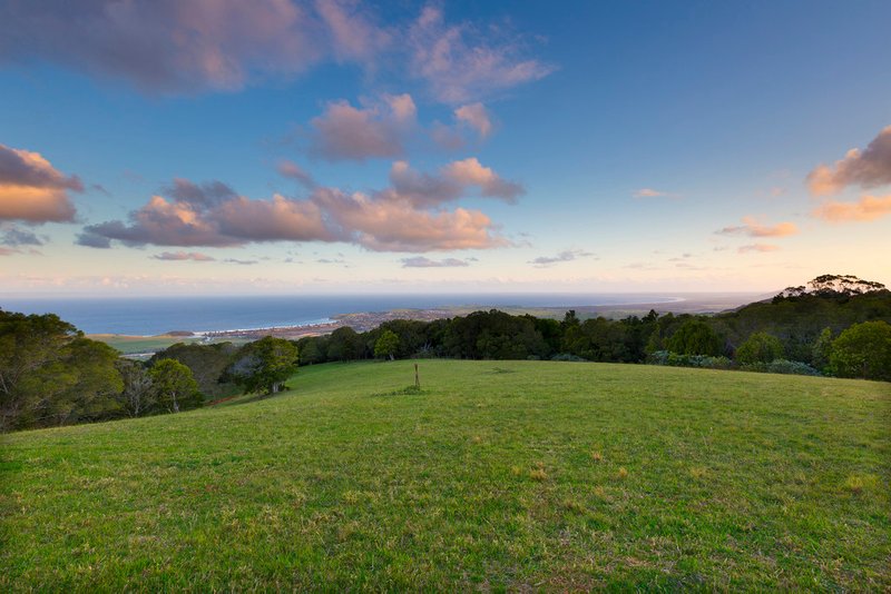 Photo - 459 Saddleback Mountain Road, Kiama NSW 2533 - Image 18