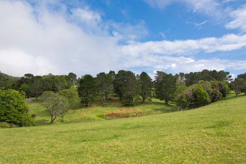 Photo - 459 Saddleback Mountain Road, Kiama NSW 2533 - Image 22