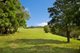 Photo - 459 Saddleback Mountain Road, Kiama NSW 2533 - Image 23