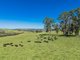 Photo - 4590 Brackendale Road, Nowendoc NSW 2354 - Image 4