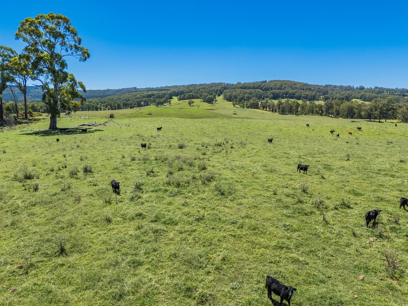 Photo - 4590 Brackendale Road, Nowendoc NSW 2354 - Image 6