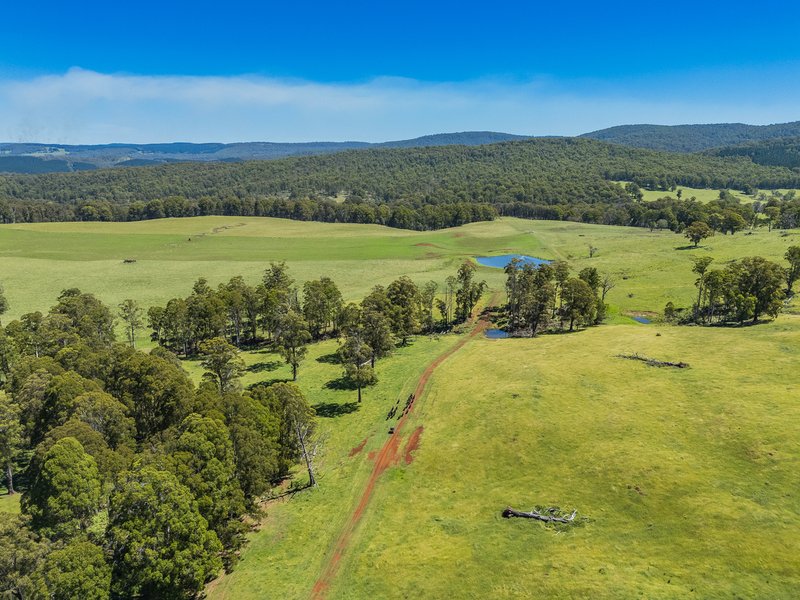 Photo - 4590 Brackendale Road, Nowendoc NSW 2354 - Image 7