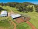 Photo - 4590 Brackendale Road, Nowendoc NSW 2354 - Image 11