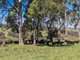 Photo - 4590 Brackendale Road, Nowendoc NSW 2354 - Image 23