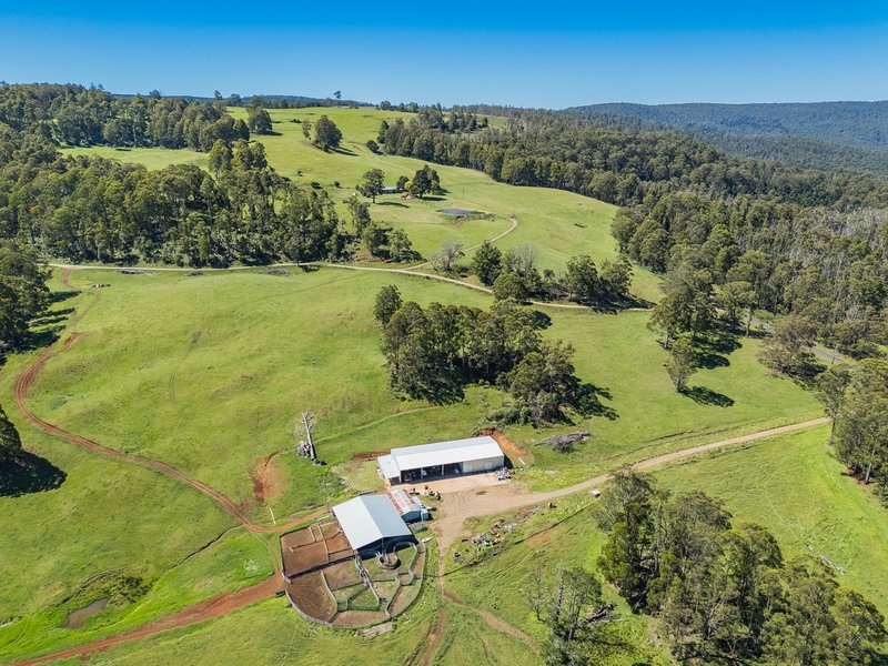 Photo - 4590 Brackendale Road, Nowendoc NSW 2354 - Image 26