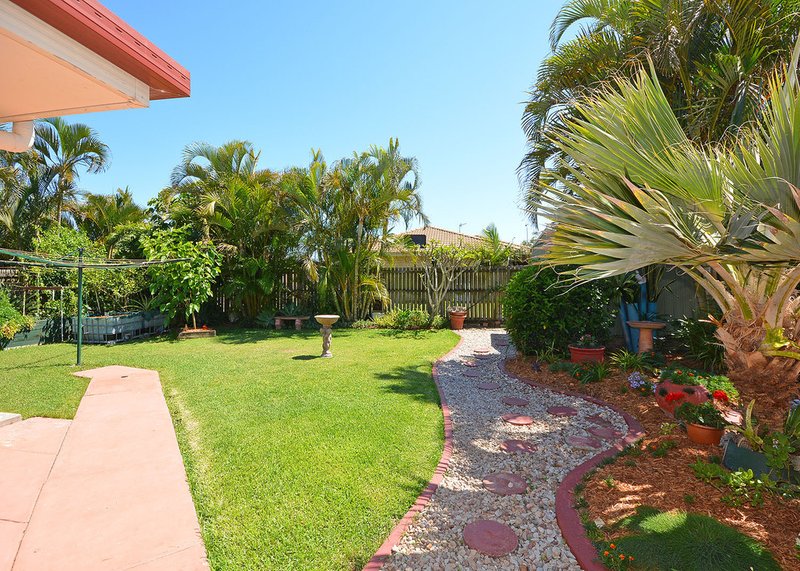 Photo - 46 Anchorage Circuit, Point Vernon QLD 4655 - Image 17