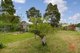 Photo - 46 Aver Avenue, Daw Park SA 5041 - Image 11