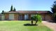 Photo - 46 Benjamin Circuit, Singleton NSW 2330 - Image 1