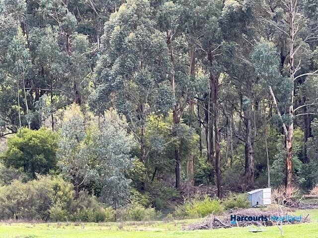 Photo - 46 Buckley Road, Carlotta WA 6275 - Image 20