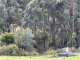 Photo - 46 Buckley Road, Carlotta WA 6275 - Image 20