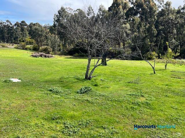 Photo - 46 Buckley Road, Carlotta WA 6275 - Image 23