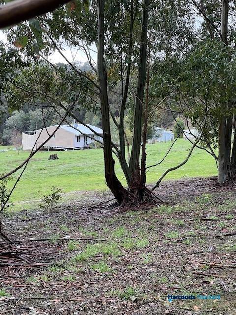 Photo - 46 Buckley Road, Carlotta WA 6275 - Image 24