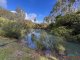 Photo - 46 Buckley Road, Carlotta WA 6275 - Image 26