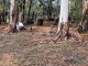 Photo - 46 Buckley Road, Carlotta WA 6275 - Image 33