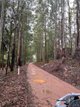 Photo - 46 Buckley Road, Carlotta WA 6275 - Image 34