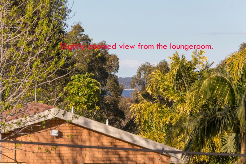 Photo - 46 Calga Crescent, Catalina NSW 2536 - Image 3