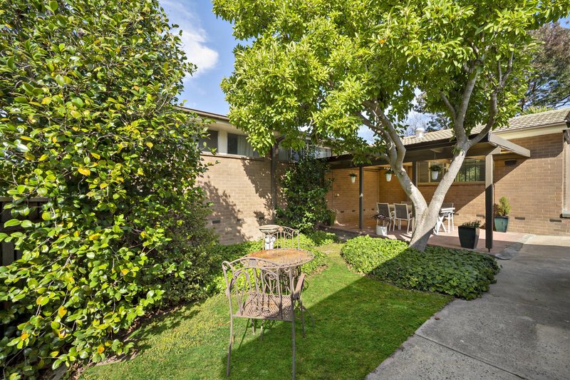 Photo - 46 Chubb Street, Latham ACT 2615 - Image 17