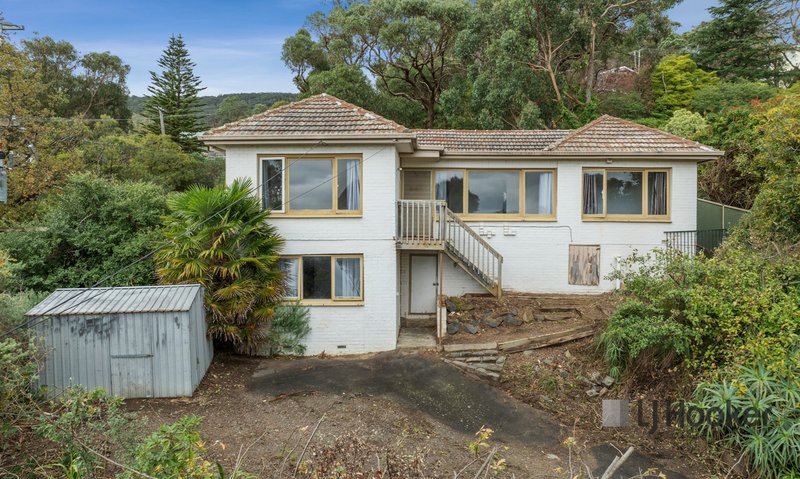 Photo - 46 Clematis Avenue, Ferntree Gully VIC 3156 - Image 4