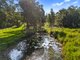 Photo - 46 Dandaloo Drive, Cootharaba QLD 4565 - Image 5