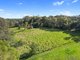 Photo - 46 Dandaloo Drive, Cootharaba QLD 4565 - Image 6