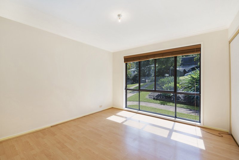 Photo - 46 Dungannon Court, Buderim QLD 4556 - Image 5