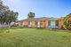 Photo - 46 Flinders Street, Tamworth NSW 2340 - Image 2