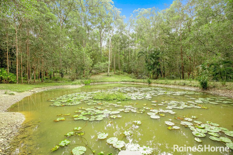 Photo - 46 Hollis Road, Pomona QLD 4568 - Image 15