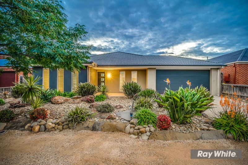 46 Homestead Ave , Tarneit VIC 3029