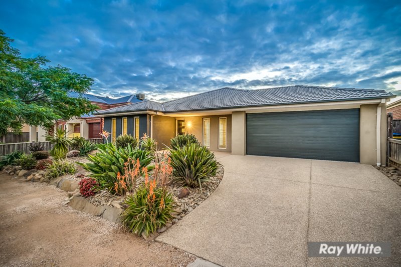 Photo - 46 Homestead Ave , Tarneit VIC 3029 - Image 2