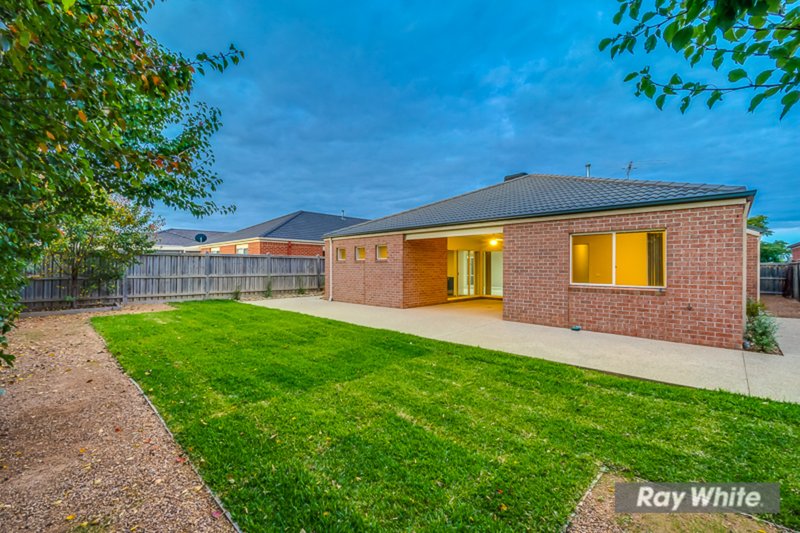 Photo - 46 Homestead Ave , Tarneit VIC 3029 - Image 18